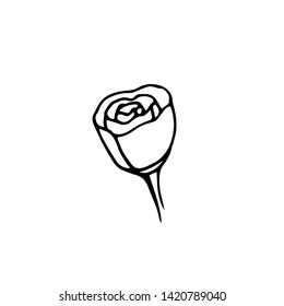 Rose logo in hand drawn style. Vector illustration