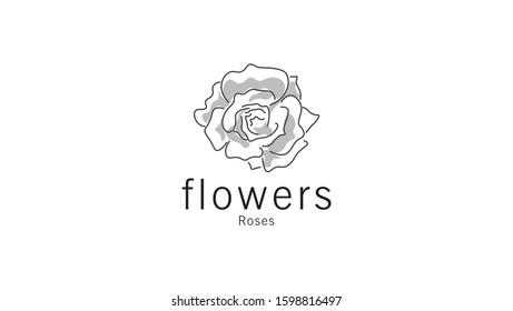 rose logo template Vector illustration