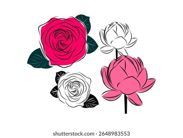 Rose and Lotus Flower Illustration Set with Hand Drawn Style for Floral Art Design Botanical Decoration and Romantic Nature Theme