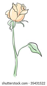 rose love rose weed vegetation earth ritual vine single sprout vista s science purity picture flowery affection matrimony union wedding sketching image beauty simplicity artwork valentine story art ma