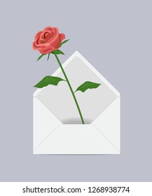 Rose in the mail envelope. Vector illustration on a gray background