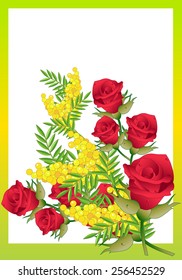 Rose and Mimosa