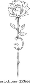 Rose minimalist tatto sketch illuastration