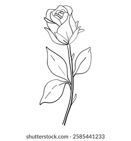 Rose minimalistic line art featuring drawing on hand draw lines black ink sketches. vector illustration isolated on transparent