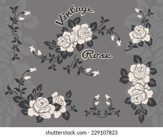 Rose motif Botanical set: collection of floral elements: branches