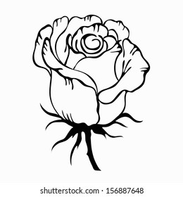 Rose motif pattern on white background 