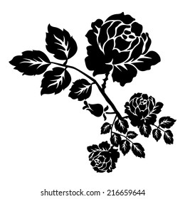 Rose motif,Flower design elements vector