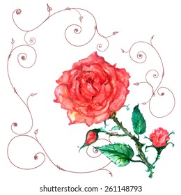 rose in old style