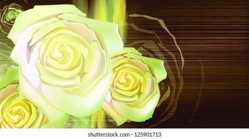 rose on background