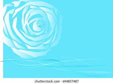 Rose on blue background 