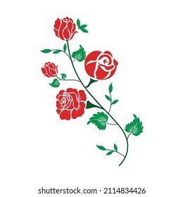 Rosa sobre la rama sobre fondo blanco. Elementos florales aislados. Flor roja y hojas verdes