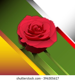 rose on gift