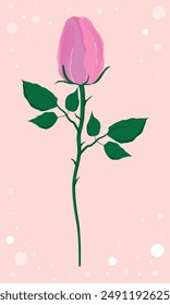 Rose on a Pink Background, Isolated, Pink, Flower, Blossom, Vector