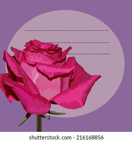 rose on purple background