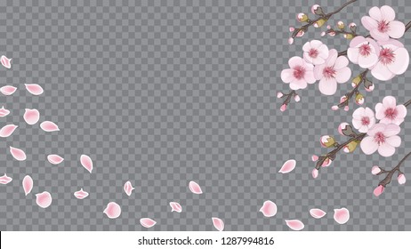 Rose on transparent background. Handmade background in oriental style. Festive frame of sakura flowers. The idea of fabric, invitations, packaging, cards.