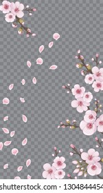 Rose on transparent background. Handmade background in oriental style. Spring frame vertical of sakura flowers. Theme design textiles, wallpaper, packaging, printing, story.