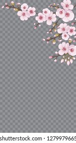 Rose on transparent background. Light frame vertical of sakura flowers. Handmade background in the Japanese style. The idea of fabric, invitations, packaging, cards.
