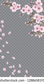 Rose on transparent fond. Design element for textiles, wallpaper, packaging, printing, story. Handmade background in oriental style. Light frame vertical of sakura flowers.