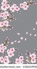 Rose on transparent fond. Spring frame vertical of sakura flowers. Theme design fabric, invitations, packaging, cards, story. Handmade background in the Japanese style.