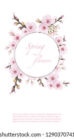 Rose on white background. Flying sakura flowers. Handmade background in the Japanese style. Theme design cover, invitation, booklet, printing.