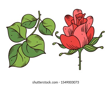 Rose on a white background. Hand-drawn vector illustration