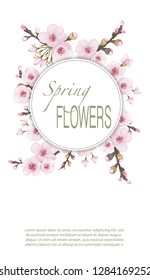 Rose on white background. Handmade background in oriental style. Spring frame vertical of sakura flowers. Design element for cover, invitation, booklet, printing.