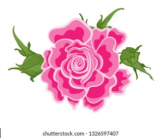 Rose on a white background for your design. Vector image