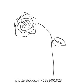 Rose one continuous line drawing. Botanical plant concept. Vector illustration isolated. Minimalist design handdrawn.