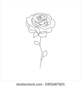Rose one continuous line drawing. Floral flower natural design. Graphic, sketch drawing. rose
