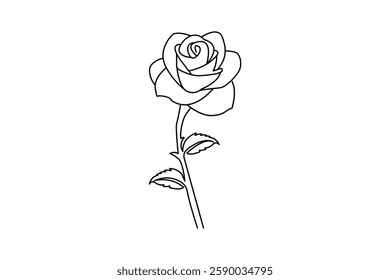 Rose one line drawing concept of beautiful floral for
 love greeting