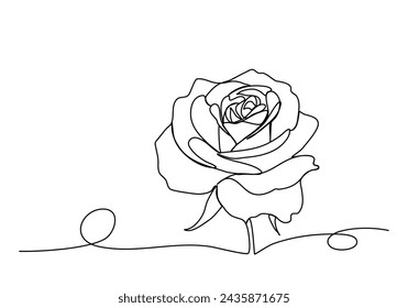 Rose, one line drawing vector illustration.