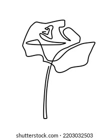 rose one line. flower continuous line. rose sketch art icon - vector illustration isolate