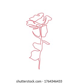 Rosa en una línea sobre fondo blanco. minimalismo dibujado a mano. Ilustración simple, contorno. Continuo de flor. Estilo de icono original. Vector 