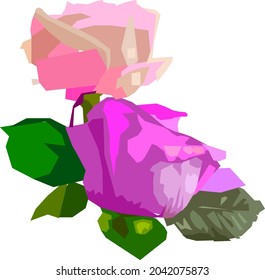 The rose  is one of the world's most popular cultivated flowers of the genus Rosa, of the family Rosaceae, originating from Asia.