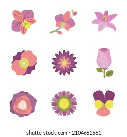 rose, orchid, lily, violet, peony, chamomile, rose, forget-me-not,
flowers set
Colorful vector paper flowers set illustration. origami abstract flower icons isolated on white background. Paper art sty