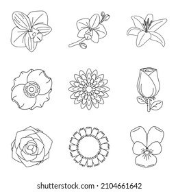 rose, orchid, lily, violet, peony, chamomile, rose, forget-me-not,
flowers set
Colorful vector paper flowers set illustration. origami abstract flower icons isolated on white background. Paper art sty
