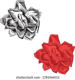 Rose original set. Monochrome and red ink hand drawn flowers art design element object isolated stock vector illustration, for tattoo, for embroidery, for web, for print, for coloring page