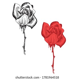 Rose original set. Monochrome and red ink hand drawn flowers art design element object isolated stock vector illustration, for tattoo, for embroidery, for web, for print, for coloring page