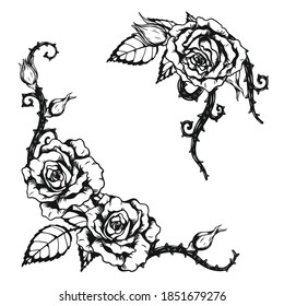 Rose ornament tattoo by hand drawing.Beautiful flower on white background.Anne Harkness rose vector art highly detailed in line art style.Flower tattoo for paint or pattern.