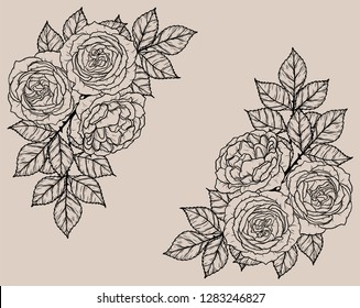Rose ornament vector by hand drawing.Beautiful flower on brown background.Sunset memory rose vector art highly detailed in line art style.Flower tattoo for paint or pattern.