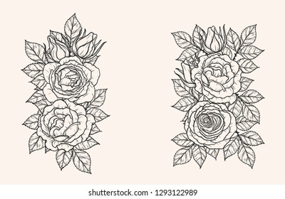 
Rose ornament vector by hand drawing.Beautiful flower on brown background.Blaze rose vector art highly detailed in line art style.Flower tattoo for paint or pattern. 