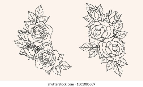 Rose ornament vector by hand drawing.Beautiful flower on brown background.Blaze rose vector art highly detailed in line art style.Flower tattoo for paint or pattern.