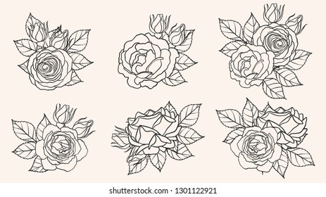 Rose ornament vector by hand drawing.Beautiful flower on brown background.Blaze rose vector art highly detailed in line art style.Flower tattoo for paint or pattern.
