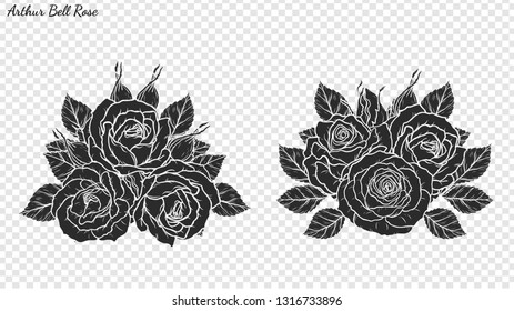 Rose ornament vector by hand drawing.Beautiful flower on transparent background.Arthur Bell rose vector art highly detailed in line art style.Flower tattoo for paint or pattern.