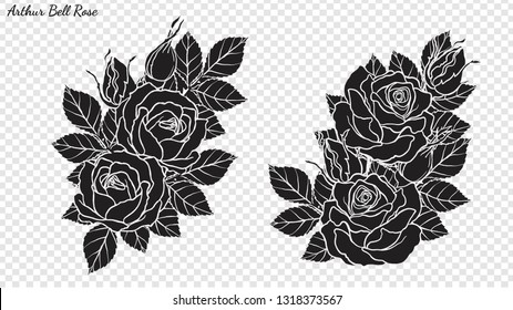 Rose ornament vector by hand drawing.Beautiful flower on transparent background.Arthur Bell rose vector art highly detailed in line art style.Flower tattoo for paint or pattern.