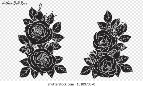 Rose ornament vector by hand drawing.Beautiful flower on transparent background.Arthur Bell rose vector art highly detailed in line art style.Flower tattoo for paint or pattern.