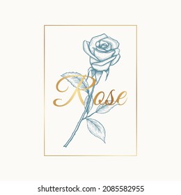 Rose ornament vector by hand drawing Premium Vector
