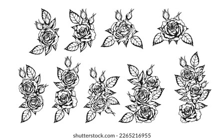 Vector de adorno de rosa por dibujo a mano. Hermosa flor sobre fondo blanco. Anne Harkness rojó el arte vectorial altamente detallado en el estilo de arte en línea. Tatuaje de flor para pintura o patrón.