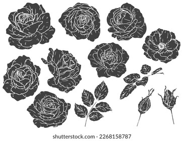 Rectorial de rosa ornamento por dibujo a mano.Hermosa flor sobre fondo marrón.Arte vector de rosa de borgoña altamente detallado en estilo de arte de línea.Tatuaje de flor para pintura o patrón.