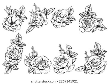 Rose ornament vector by hand drawing.Beautiful flower on brown background.Burgundy iceberg rose vector art highly detailed in line art style.Flower tattoo for paint or pattern.